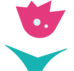 Caileigh Designs
